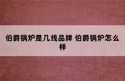 伯爵锅炉是几线品牌 伯爵锅炉怎么样